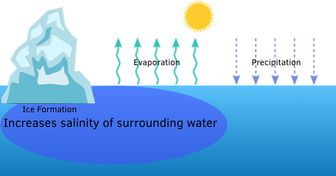 Ice formation increases salinity